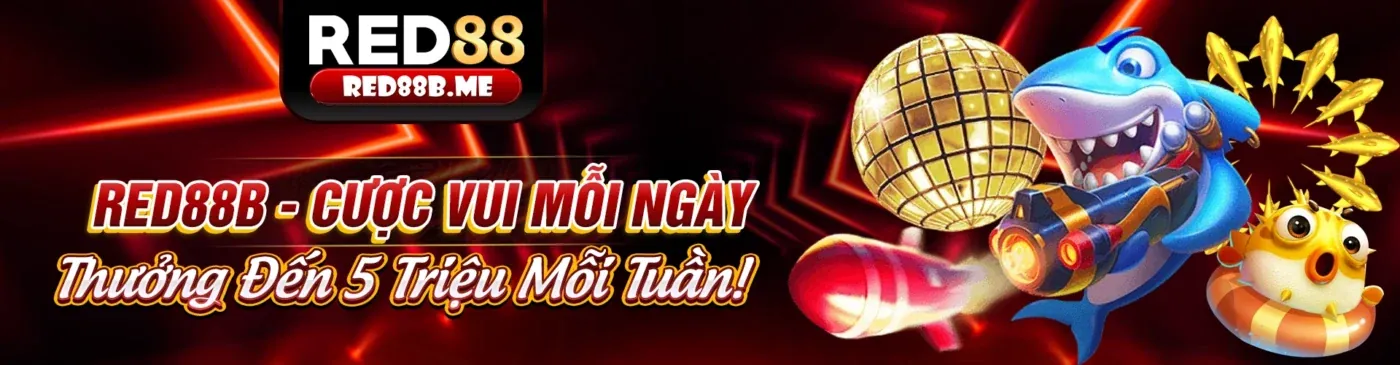 Đánh giá nền tảng vando88 chính thức